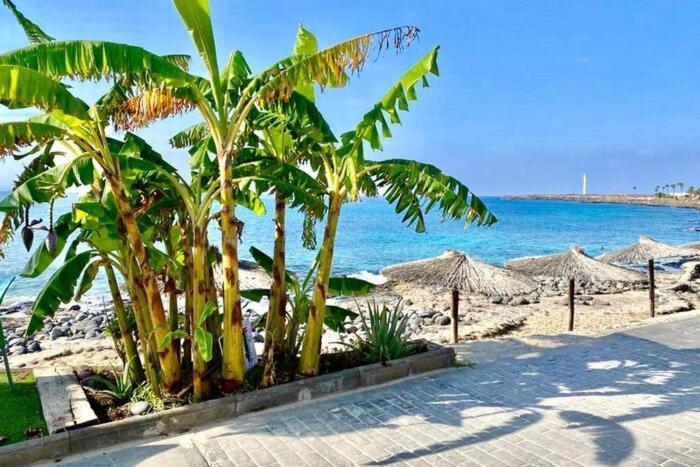 Casa Atilana Apartamento A 150 Metros De La Playa بلايا بلانكا المظهر الخارجي الصورة